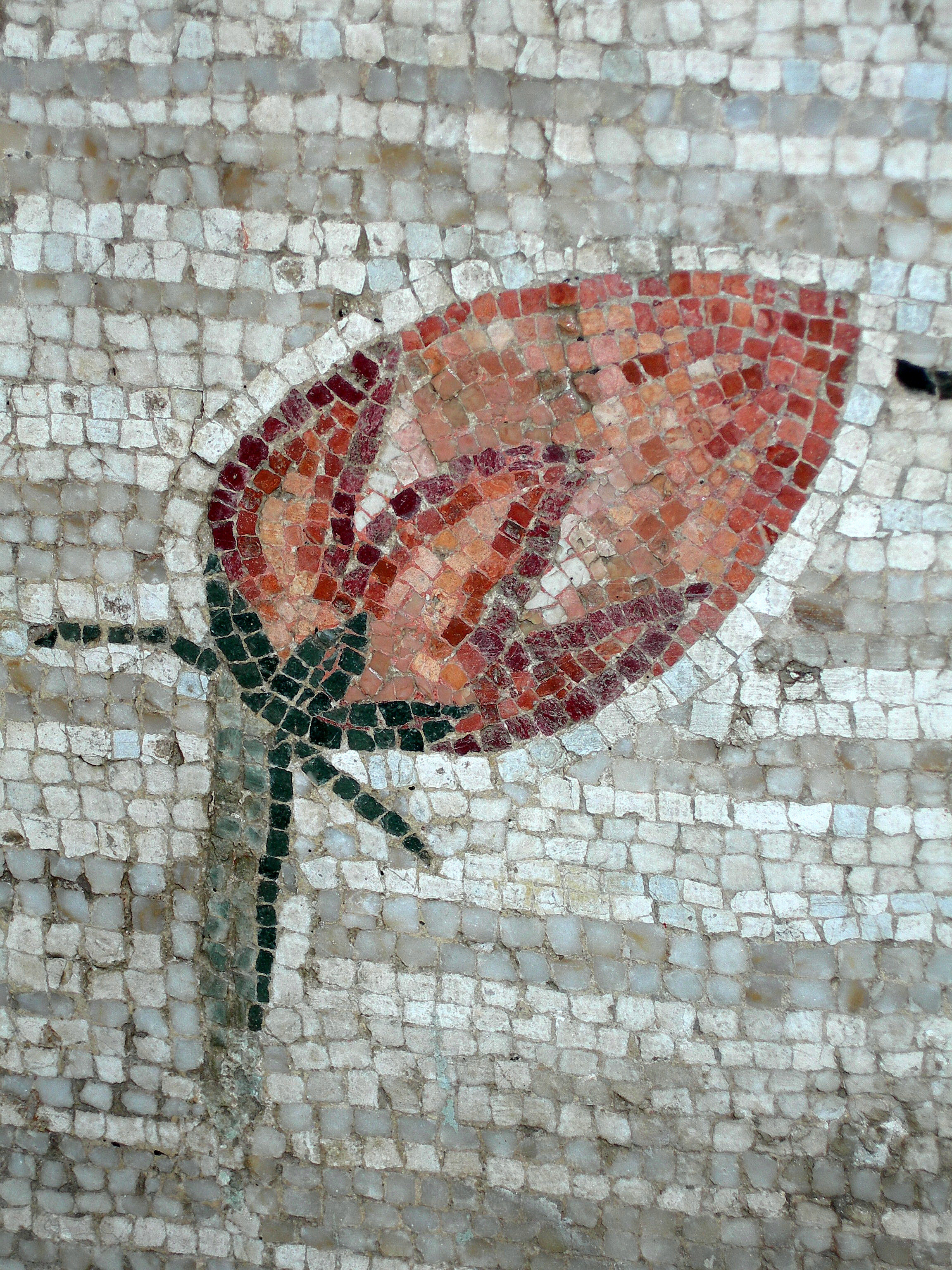 mosaïque italien mosaico du latin médiéval musaicum altération de musivum  opus travail artistique auquel président les Muses - LAROUSSE